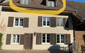 Ruhige 2 Zimmer Wohnung
